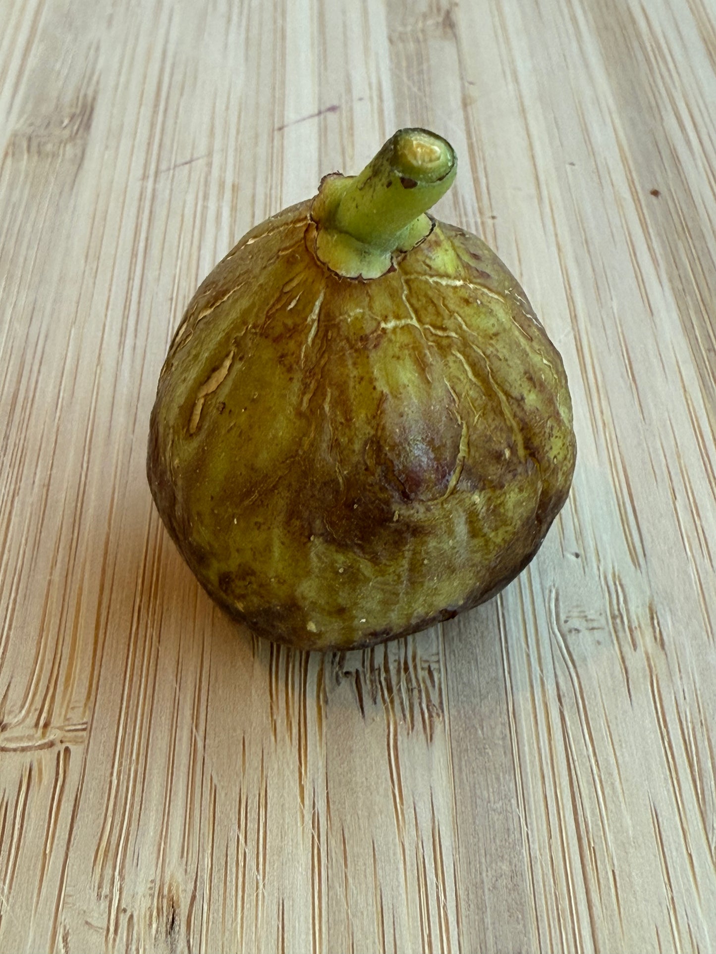 Lampeira 1