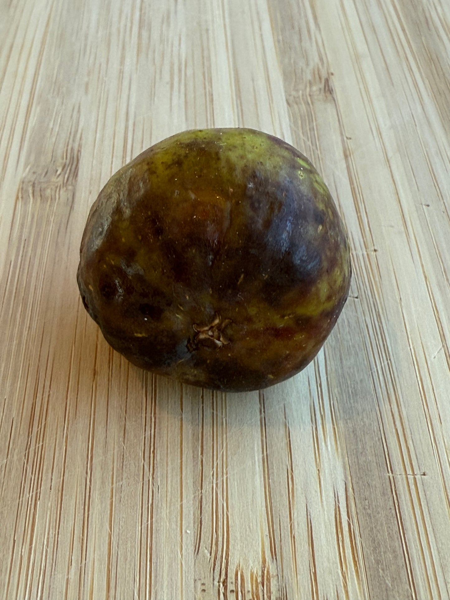 Lampeira 1