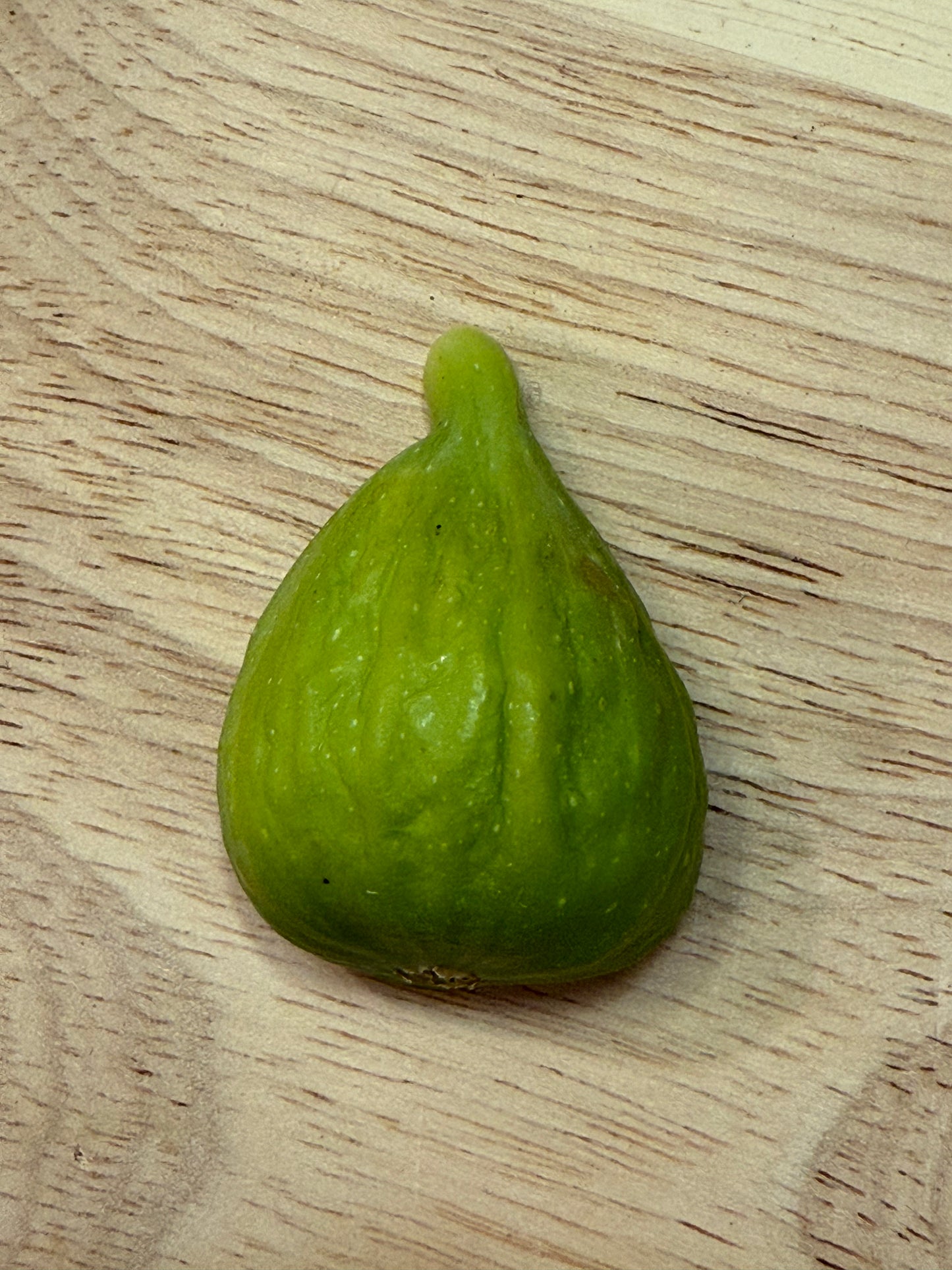 Sister Madeline's Green Greek (SMGG)