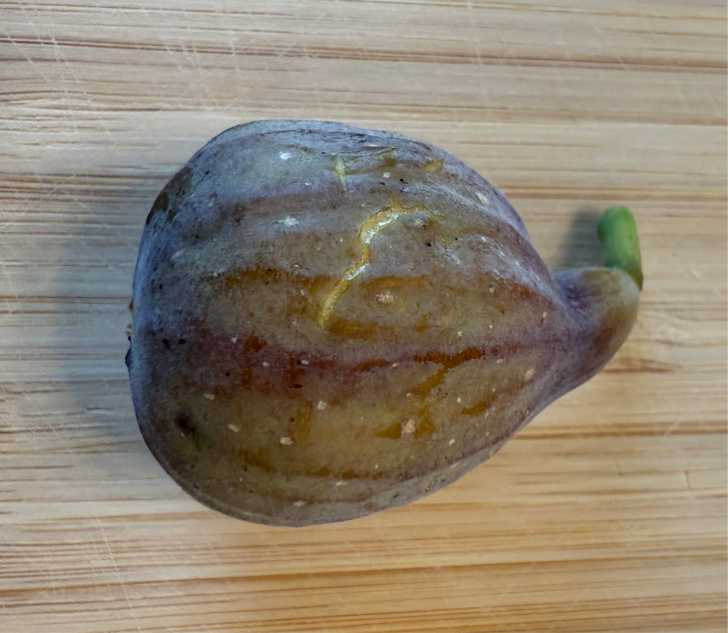 Celeste cracking skin 